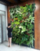 jardin
