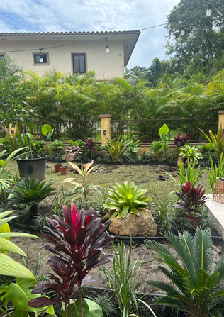 Diseño de paisajismo para residencias en Panamá con bromelias y un camino hermoso rodeado de plantas tropicales.