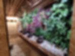 Jardin vertical restaurante 4