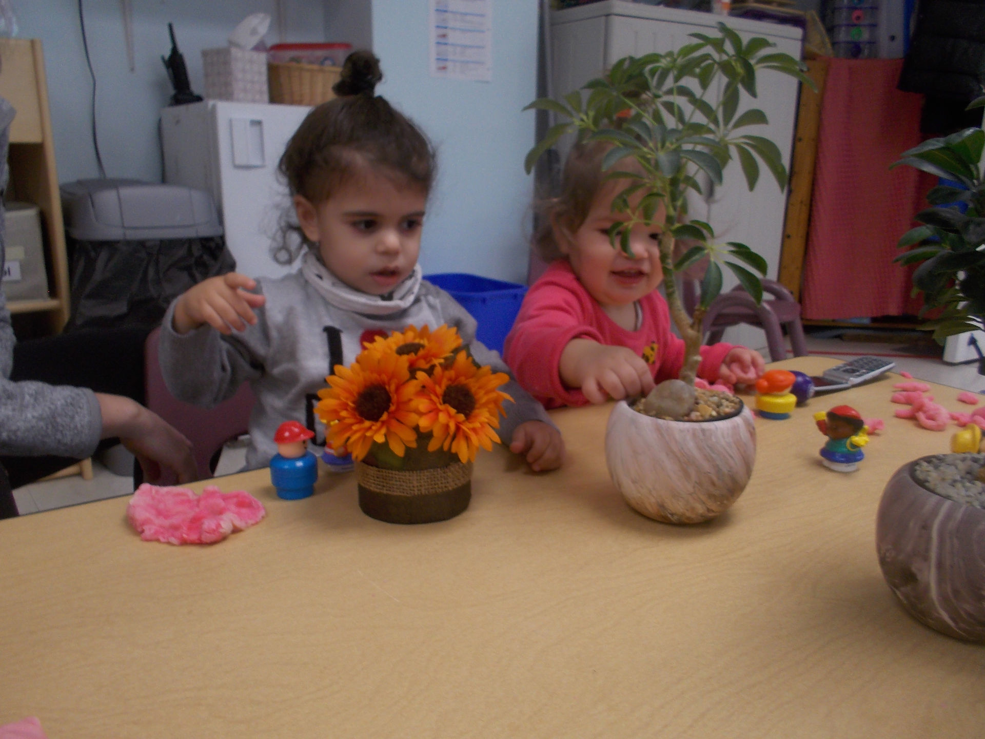Exploring Tu B'Shevat
