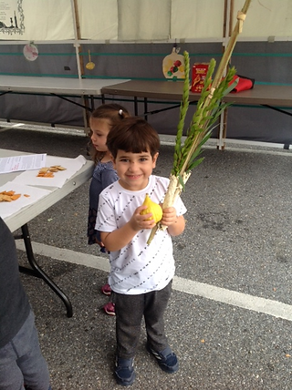 Shaking the lulav