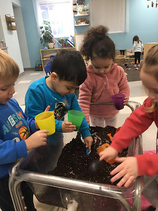 Digging in the dirt