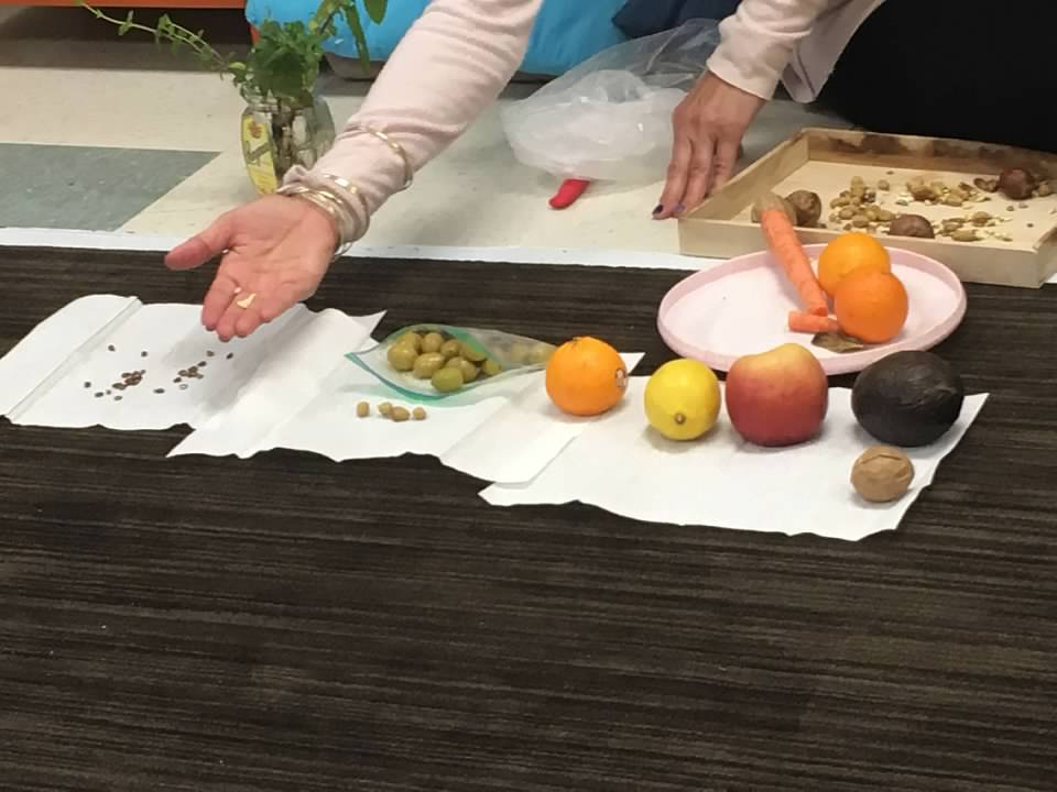 Investigating seeds