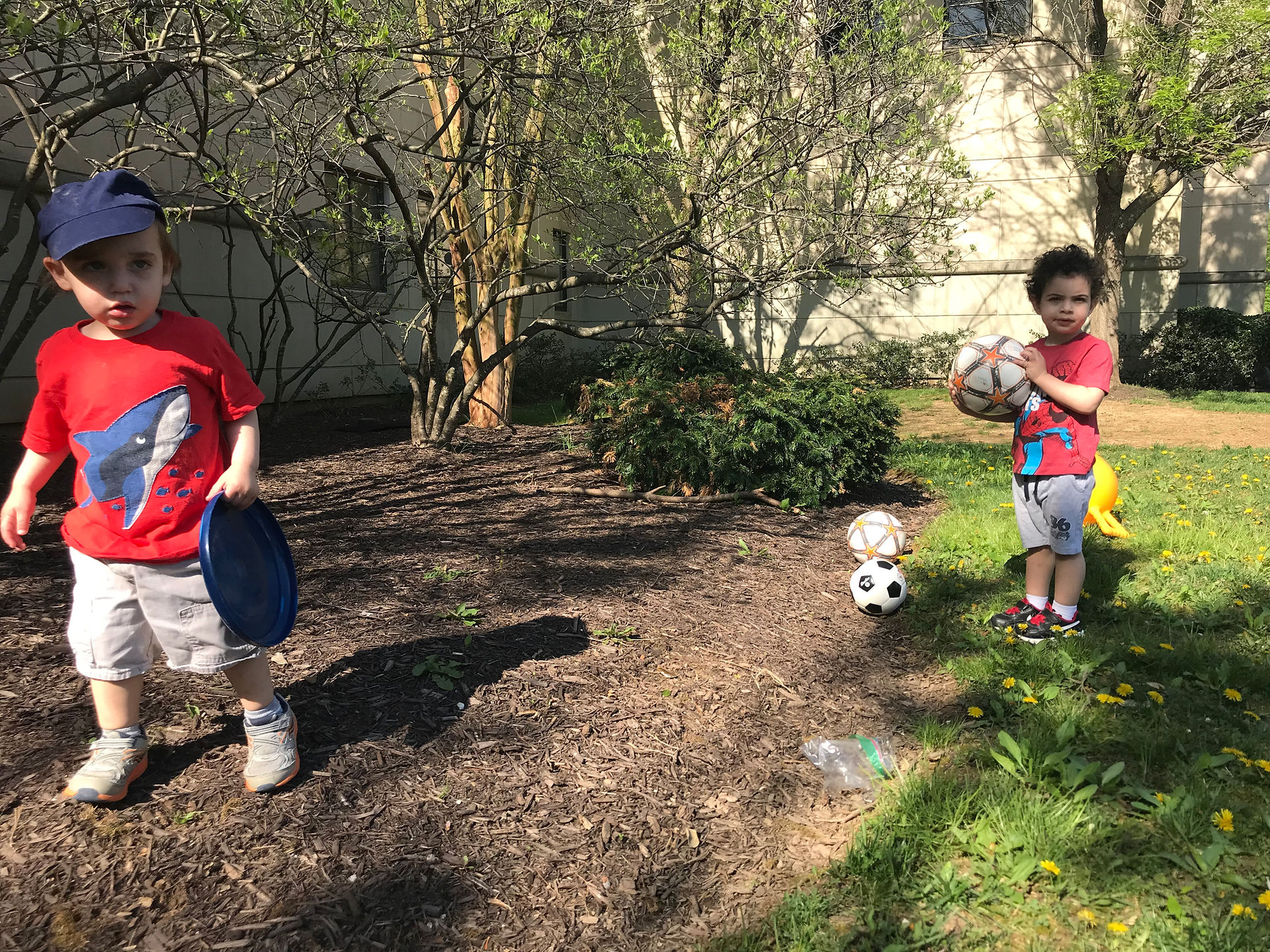 frisbee fun