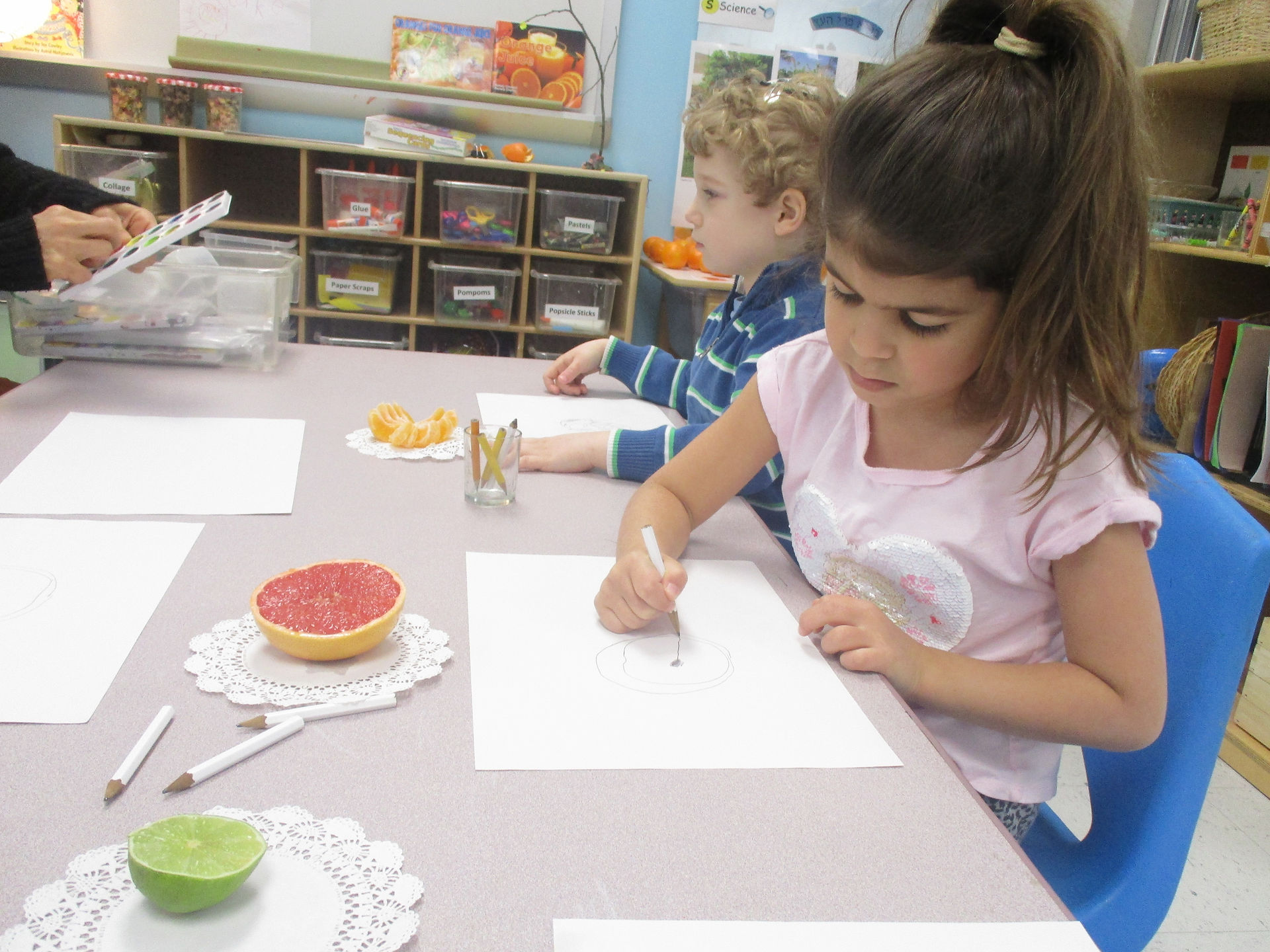 Observational drawing