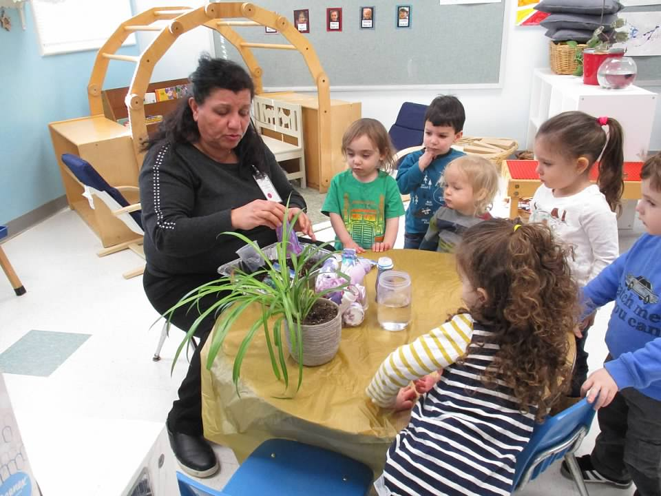 Talking about plants