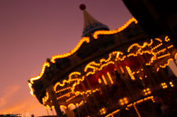 Photo_Light_n_Color-44