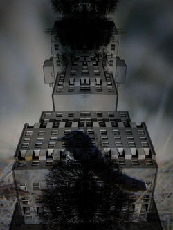 20_Urbanimalization