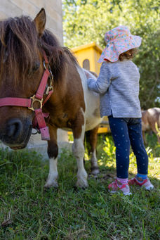 Cheval et fille