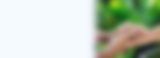 Donation Page Web Banner.png
