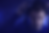 Copilot_20260525_125332.png