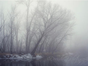 Driving through fog