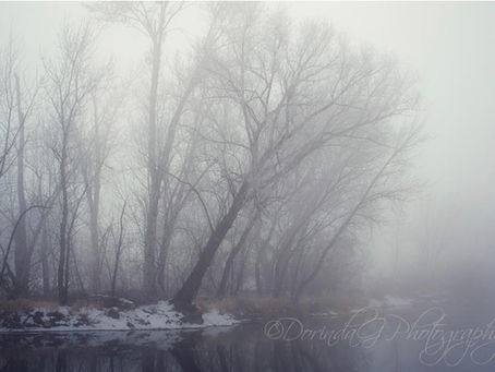 Driving through fog