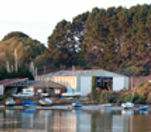 Le Guip à l'Île aux Moines