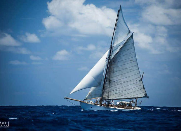 Anne-Marie 1911, Antigua Classic 2017
