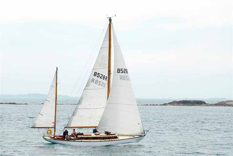 Pangur Ban, yawl de la Loki Class