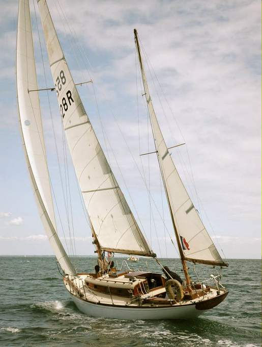 Pangur Ban, yawl de la Loki Class