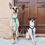 Thumbnail: ROPE LEASH - SCARLETT