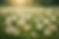 A461E963-624B-40A2-81C0-5B30B1D477AE.png