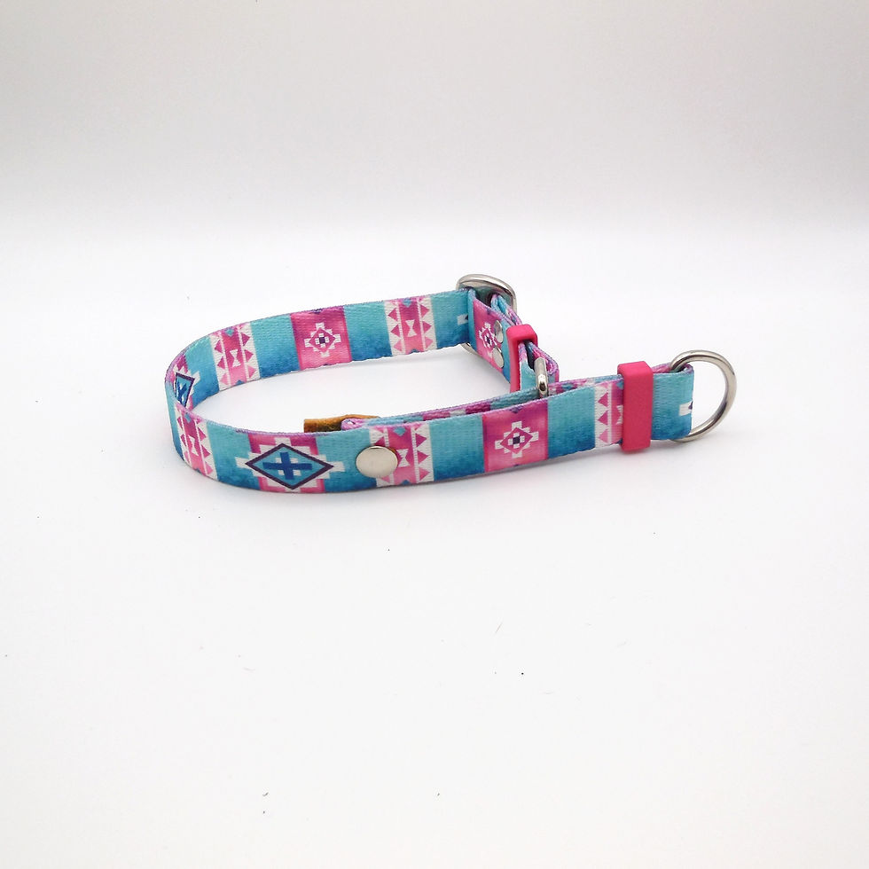 Thumbnail: Arizona Sunrise Martingale Collar