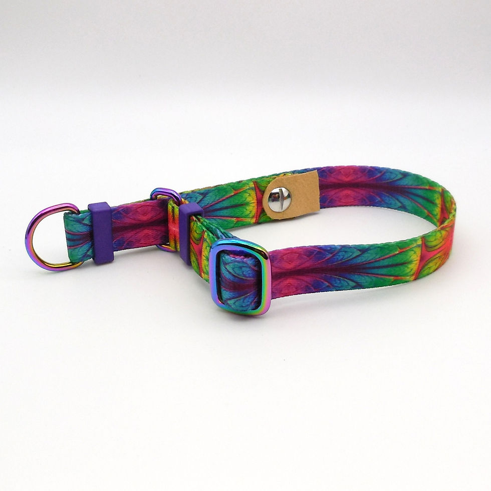Thumbnail: Dragon Skin Martingale Collar