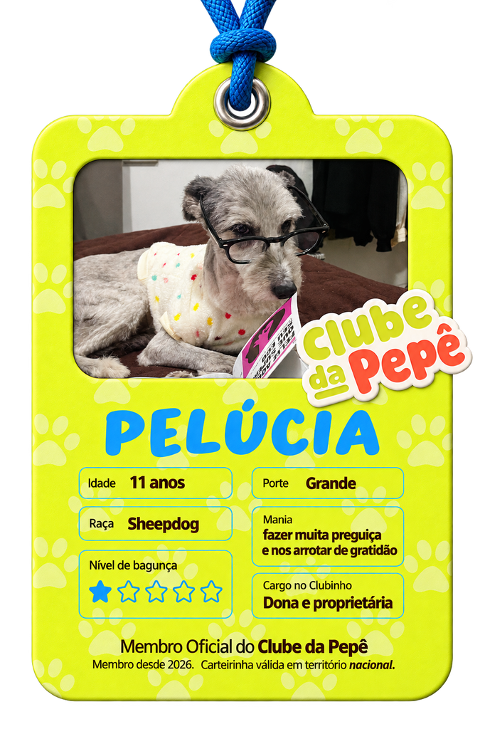 Carteirinha amarela de pet com foto de cachorro cinza usando óculos