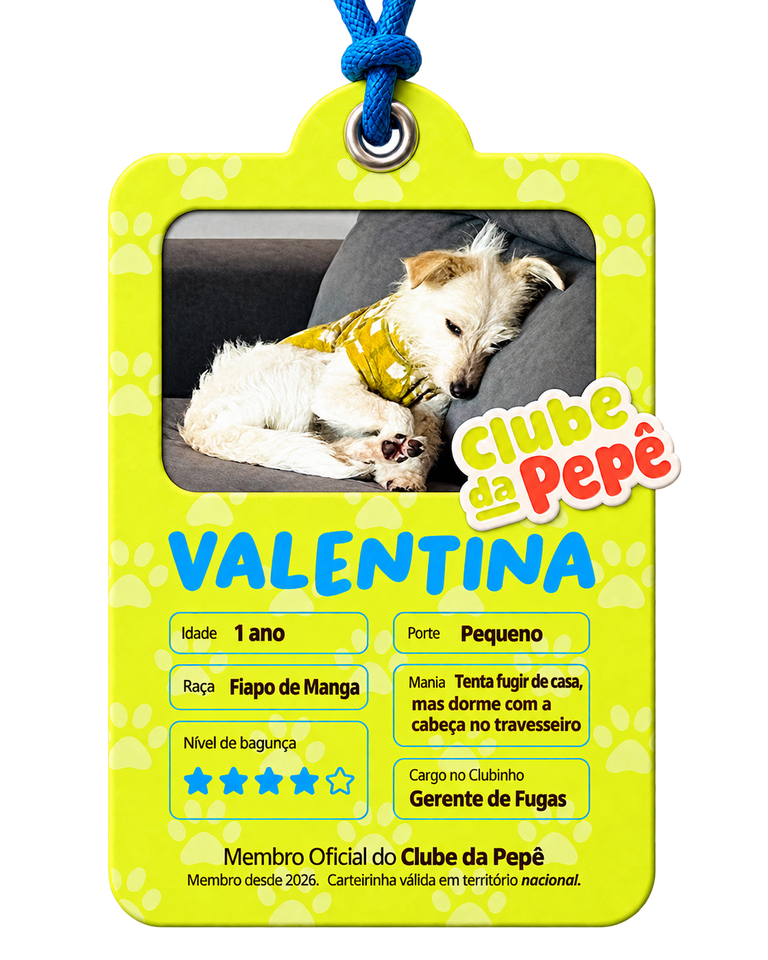 Carteirinha amarela de pet com foto de cachorro branco deitado no sofá