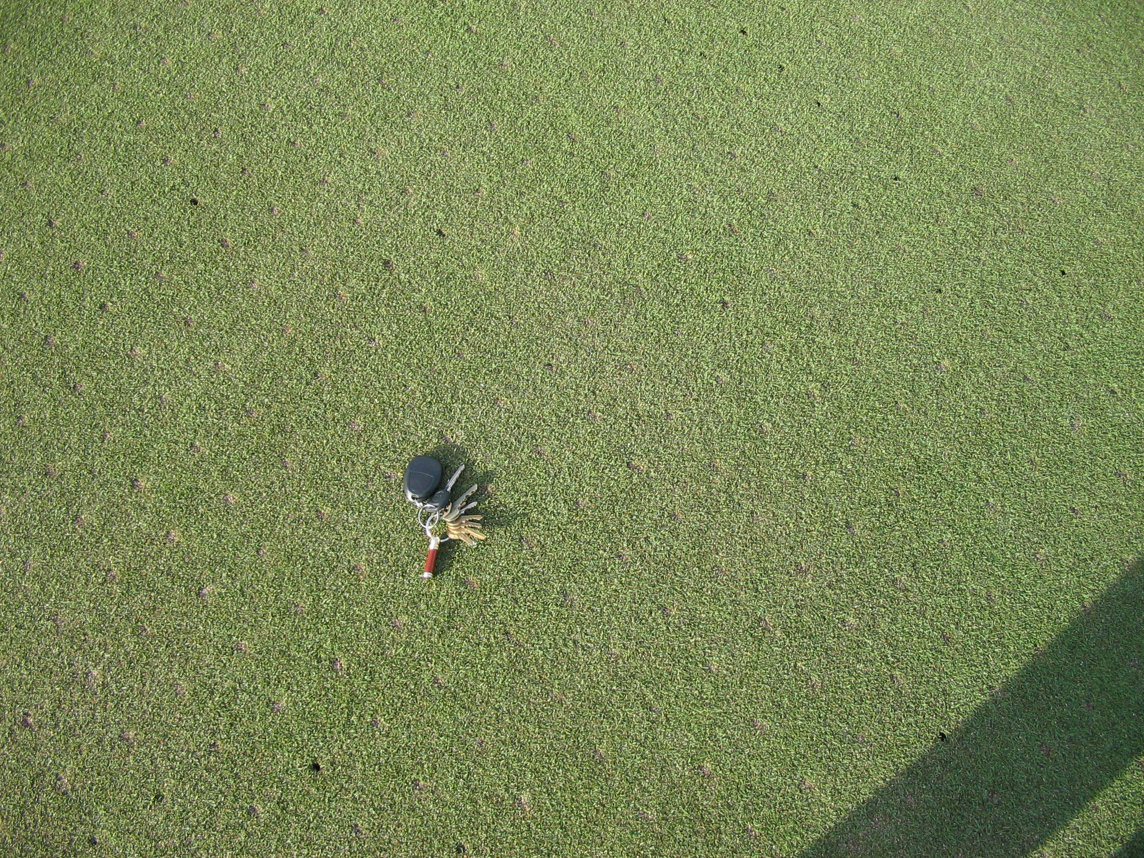 Putting Green Aerification