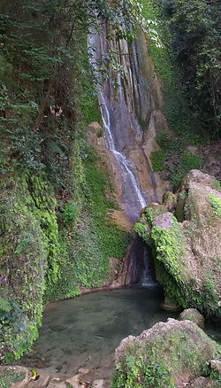 IMG-20190331-WA0103.jpg