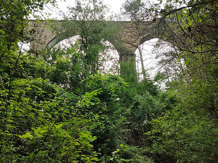 WhatsApp Image 2024-07-15 at 14.15.26.jpeg