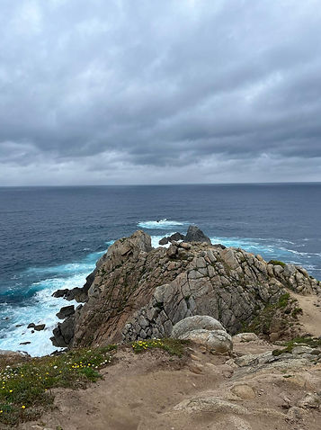 WhatsApp Image 2024-07-01 at 12.10.41 (1).jpeg