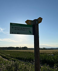 WhatsApp Image 2024-05-10 at 09.55.26 (1).jpeg