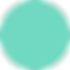 circular-shape-silhouette (1).png