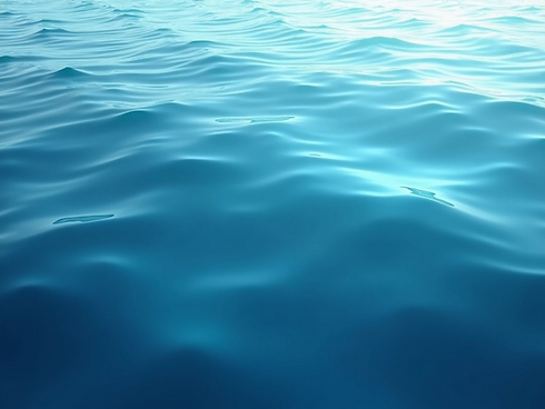 Background 15.png