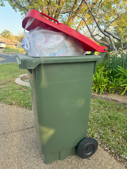 wheelie bin empty wagga