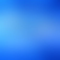 Nouvelle-Zélande : des requins lumineux découverts dans les profondeurs du Pacifique