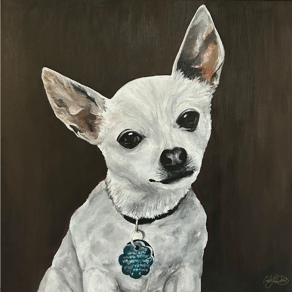 Thumbnail: (Solid Color Background) Hand Painted Pet Portrait ROLLED CANVAS