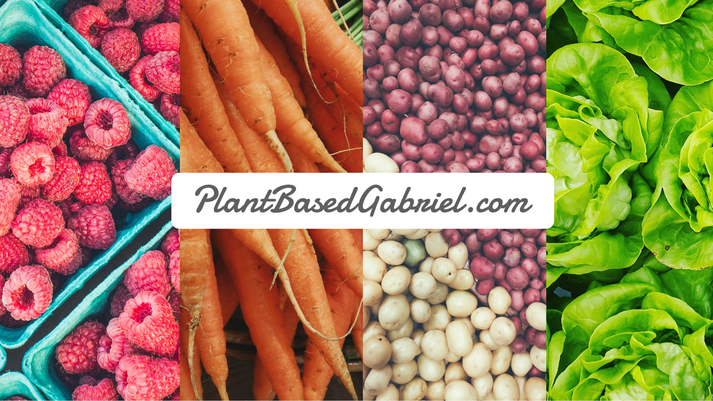 Plant Based Gabriel WFPB