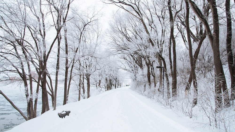 First Snow Richmond Virginia December 2018