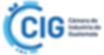NuevoLogo_CIG.jpg
