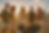82b07fae-e00e-4dc5-906d-e3b164fe40b8.png