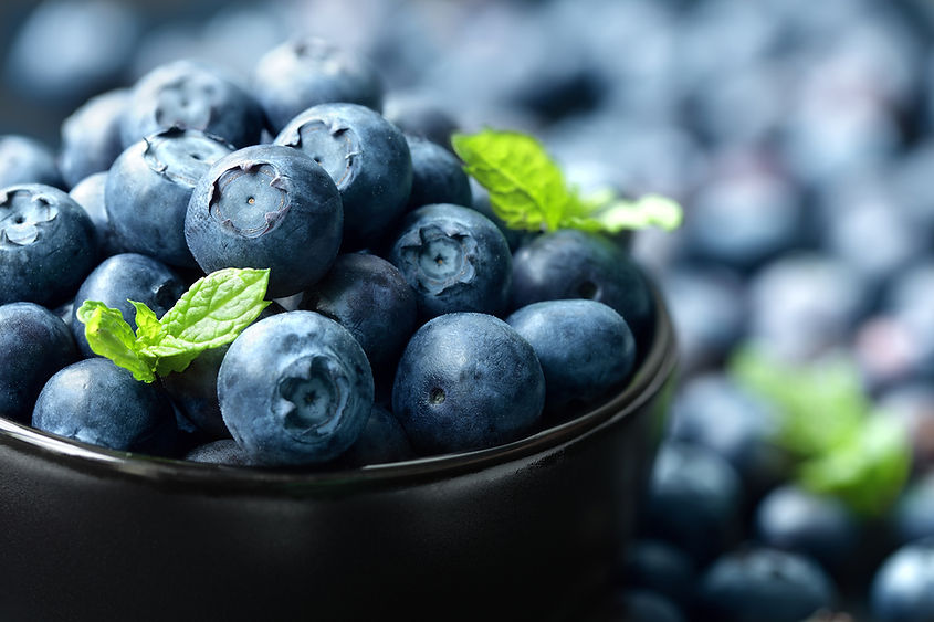blueberry1.jpg
