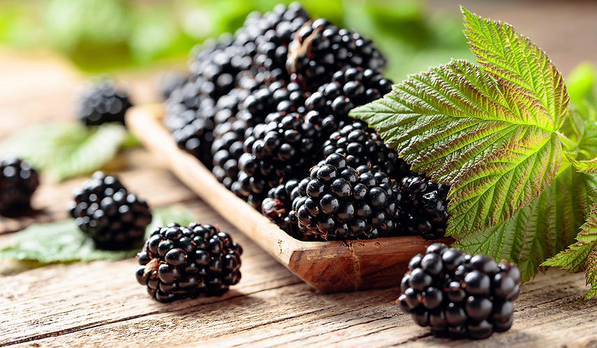blackberry2.jpg