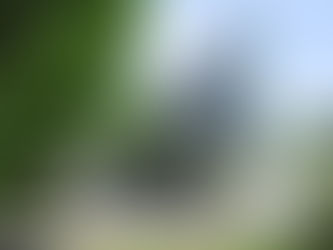 Institute of Science Tokyo GSEP