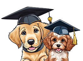 two puppies wearing graduation caps. Puppyschool link