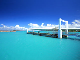 写真展「神々の庭」10／9（日）まで