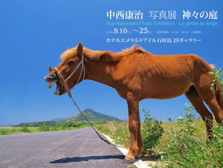 石垣島で個展「神々の庭」