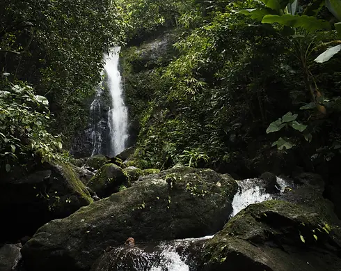 imag-waterfall.webp