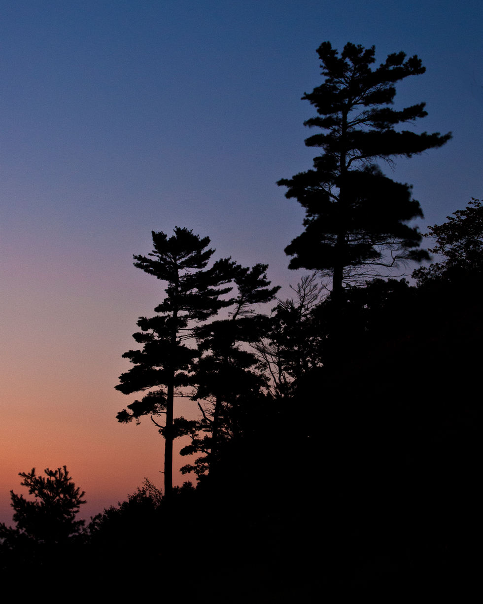 art festival0024.JPG