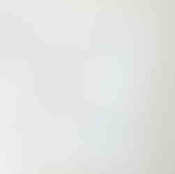 classic wedding invitation with clean font and blue floral design